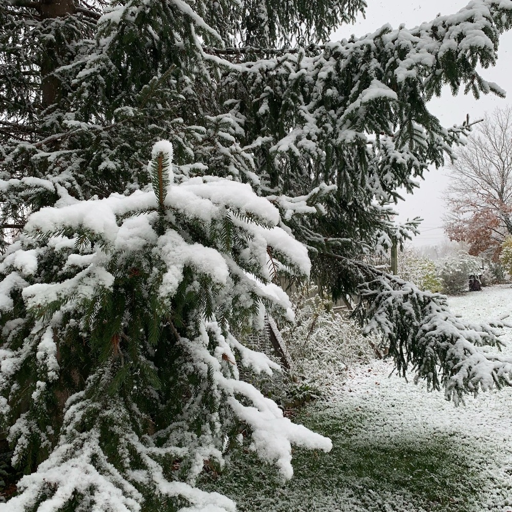 Meet your Posher, Mikayla